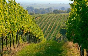 Retzbacher Wünschelrutenweg grenzüberschreitend, © Weinviertel Tourismus / Wolfgang Gerzer Retzbacher Wünschelrutenweg grenzüberschreitend, © Weinviertel Tourismus / Wolfgang Gerzer