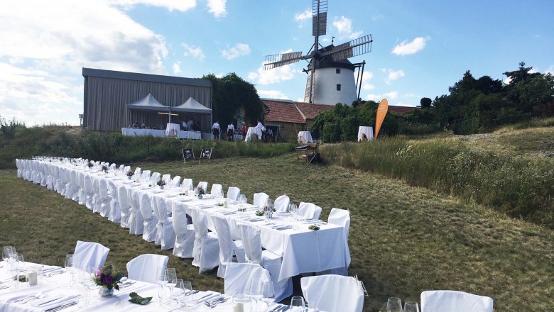 Tafeln im Weinviertel, © Weinviertel Tourismus GmbH Lange Tafel im Freien mit Windmühle im Hintergrund.