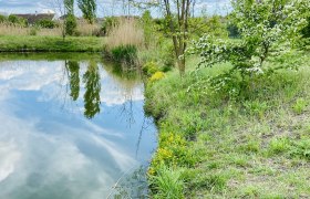 Eine kleine Erfrischung an heißen Tagen, © Weinstraße Weinviertel Ein Teich mit Holzsteg, umgeben von grüner Vegetation und blühenden Bäumen unter einem blauen Himmel.
