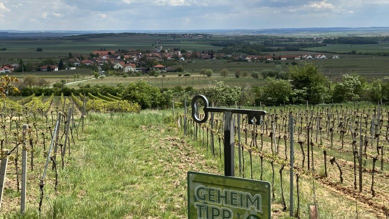 Riede Triftberg, © Weinstraße Weinviertel Weinberg mit Blick auf ein Dorf im Weinviertel, Schild mit der Aufschrift 'Geheimtipp'.