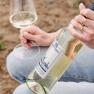 Weingut Ladentrog, © Stefan Jurecek Weingut Ladentrog, © Stefan Jurecek
