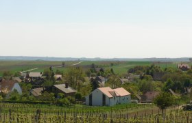 Sonnenheuriger Schleinzer, © Schleinzer Landschaft mit Weinbergen und Dorf im Hintergrund.