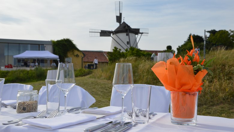 Tafeln im Weinviertel, © Weinviertel Tourismus GmbH Gedeckter Tisch im Freien mit Windmühle im Hintergrund.