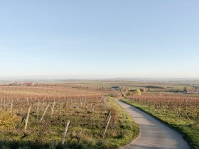 Spuren am Land, &copy; Matthias Klos, Bildrecht Wien