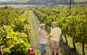 Klemens Maria Hofbauer-Pilgerweg, © Retzer Land / Astrid Bartl