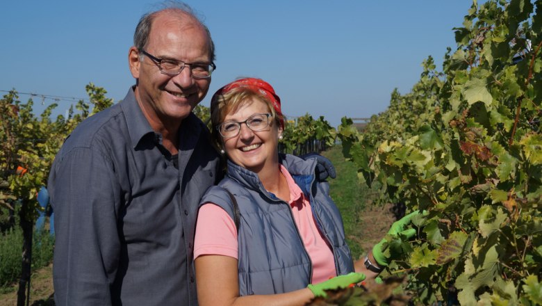 Rent a Rebstock-Highlight: Weinlese bei herrlichem Wetter, © Retzer Land / Köhrer