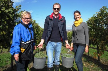 Winzerlehrlinge bei der Arbeit, © Retzer Land / Raab