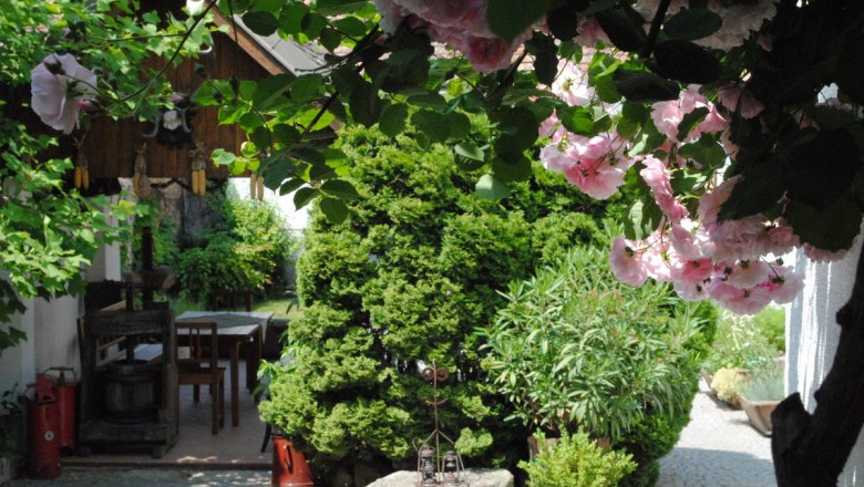 Ein idyllischer Garten mit blühenden Rosen, einem Holztisch und einem kleinen Holzhaus im Hintergrund.