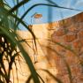 Außendusche im Garten, © Apartments Vineyard19