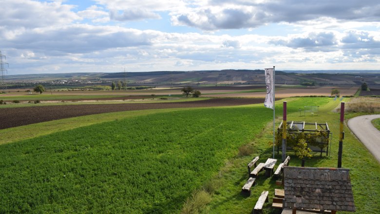 Blick auf das Areal der Fundstelle, &copy; ARDIG
