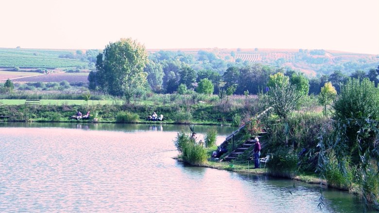 Ein ruhiger Fischteich mit Anglern, umgeben von grüner Landschaft und Weinbergen im Hintergrund.