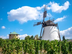 Retzer Windm&uuml;hle, &copy; M&ouml;dl
