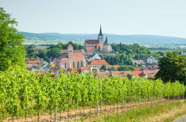 Weinstadt Pulkau, © Retzer Land / Die Reisereporter