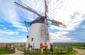 Windmühlführung, © Retzer Land / Mödl