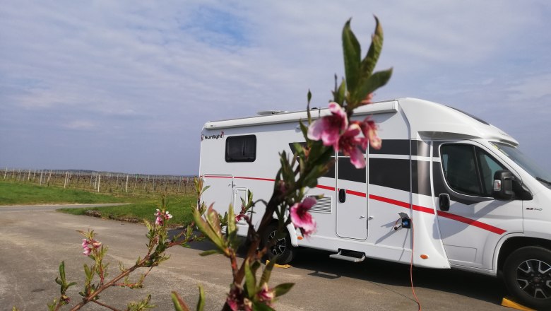 Wohnmobilstellplatz, © Weingut Studeny