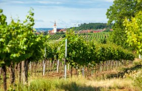 Schrattenthal, &copy; Retzer Land / Die Reisereporter