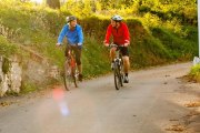 Radwege im Retzer Land, © Retzer Land / Bartl