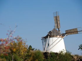 Retzer Windmühle, © Retzer Land / Himml