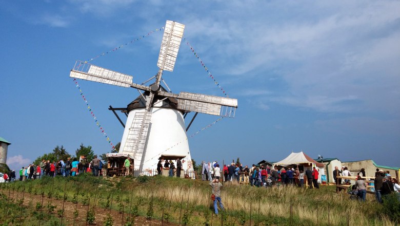 Windmühlfest, © Retzer Land / Wöhrer