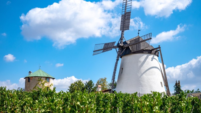 Die Retzer Windmühle, © Retzer Land / Mödl