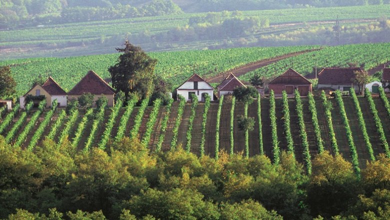 Kellergasse im Frühling, © Retzer Land / Weinfranz