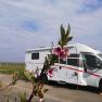 Wohnmobilstellplatz, © Weingut Studeny