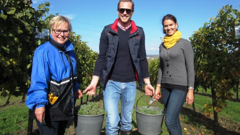 Winzerlehrlinge bei der Arbeit, © Retzer Land / Raab