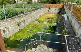 Wassertretanlage mit gr&uuml;nem Wasser und Metallgel&auml;nder.