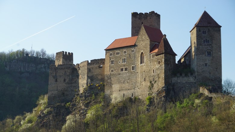 Burg Hardegg auf einem H&uuml;gel mit B&auml;umen im Vordergrund.