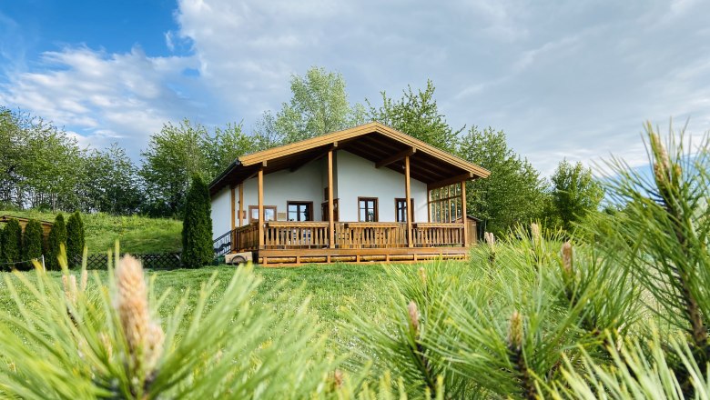 Ein kleines Holzhaus mit Veranda steht auf einer grünen Wiese, umgeben von Bäumen und Sträuchern unter einem bewölkten Himmel.