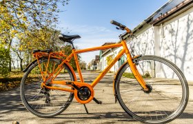 Ein orangefarbenes Fahrrad steht auf einer sonnigen Straße, umgeben von Bäumen und Gebäuden.