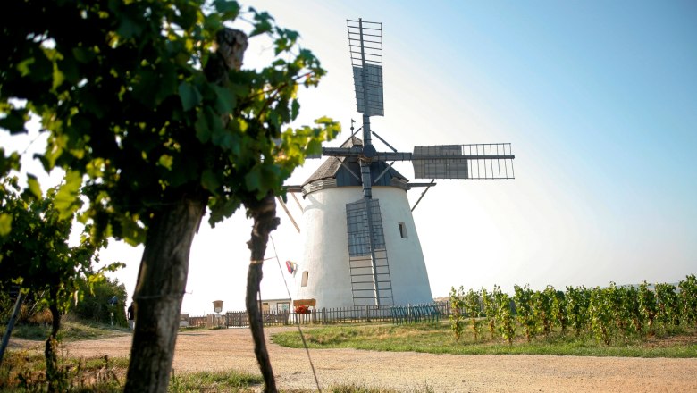 Die Windmühle &quot;aufgespürt&quot;, © Retzer Land / Bartl