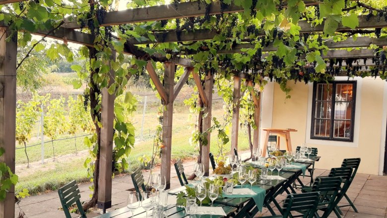 Gedeckter Tisch unter einer Pergola mit Weinreben.