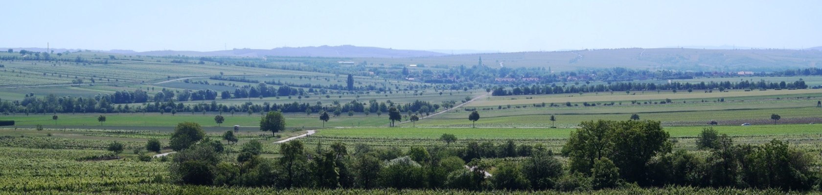 Sommer im Retzer Land, © Retzer Land / Wöhrer