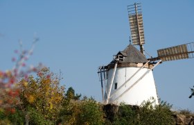 Retzer Windmühle, © Foto Himml