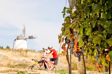 Freiheit auf zwei Rädern, © Retzer Land / Bartl