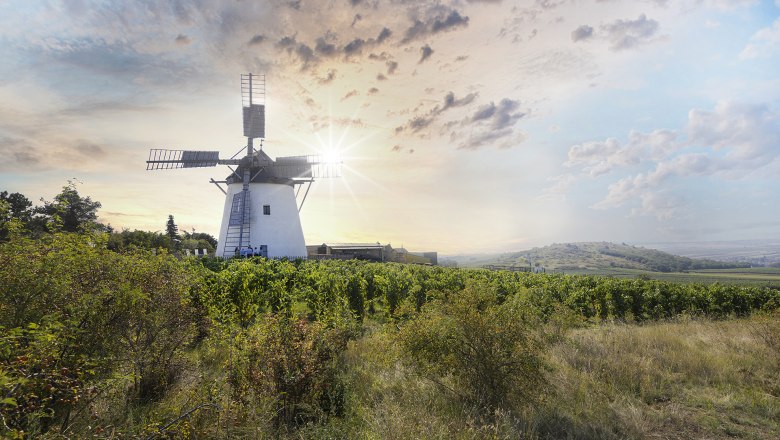 Retzer Windmühle, © Retzer Land / Romana Fürnkranz