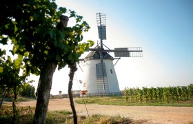 Die Windmühle &quot;aufgespürt&quot;, © Retzer Land / Bartl