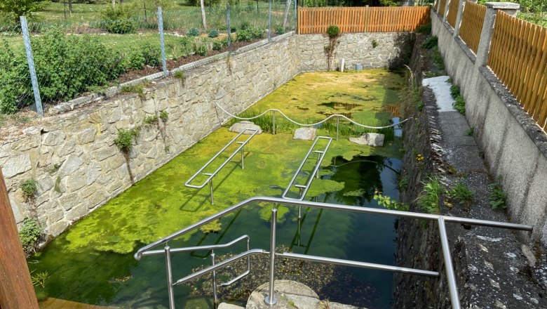 Wassertretanlage mit gr&uuml;nem Wasser und Metallgel&auml;nder.