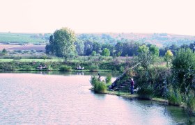 Ein ruhiger Fischteich mit Anglern, umgeben von grüner Landschaft und Weinbergen im Hintergrund.