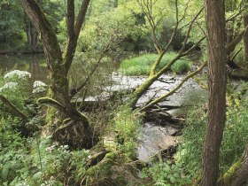 Thayatalweg, &copy; Nationalpark Thayatal / Manhart