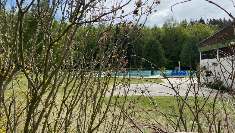 Ein Freibad mit leeren Becken, umgeben von B&auml;umen und Str&auml;uchern.