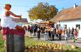 Kürbisfest im Retzer Land, © Retzer Land / Schleich