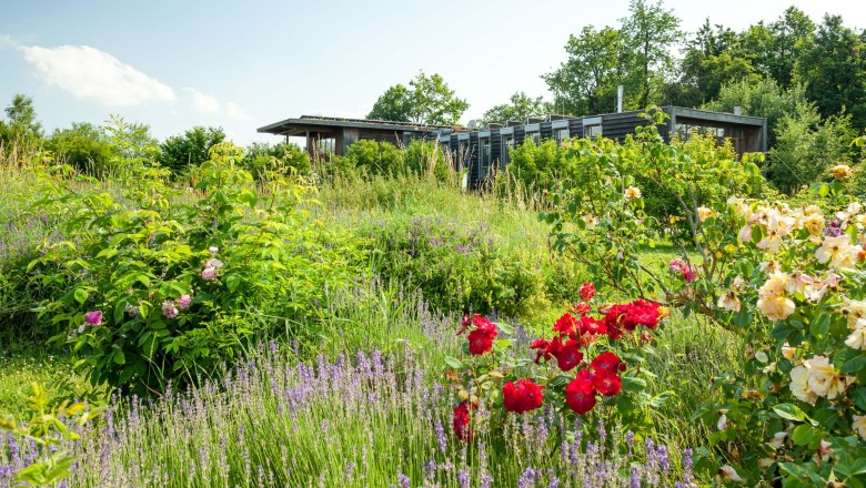 Stadtgemeinde Hardegg, &copy; Retzer Land / Die Reisereporter