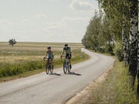 Zwei Radfahrer fahren im Sommer entlang einer Stra&szlig;e, neben ihnen auf der einen Seite eine Baum-Allee, auf der anderen bl&uuml;hende Felder