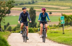 Radwegenetz Retzer Land, © Weinviertel Tourismus / Robert Herbst