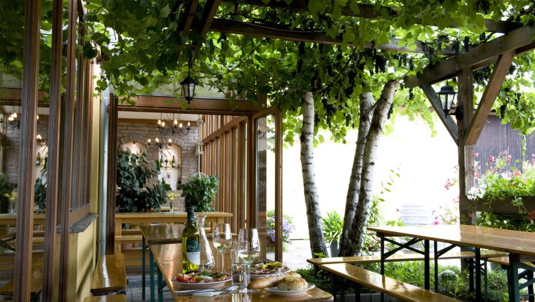 Gemütliche Terrasse mit Holztischen, Weinflasche und Gläsern, umgeben von grünen Pflanzen und Weinreben.