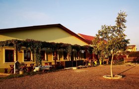 Gelbes Gebäude mit Terrasse, Weinreben und Baum im Vordergrund bei Sonnenuntergang.