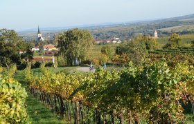 Weinwandern Pulkau, © Retzer Land / Köhrer