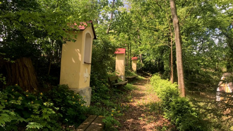 Ein schmaler Waldweg mit kleinen Kapellen und Bänken, umgeben von grünen Bäumen und Pflanzen.